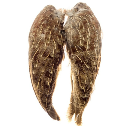 Skrzydła kuropatwy English Partrigde Wings Natural Veniard materiały muchowe pióra FlyArtFishing